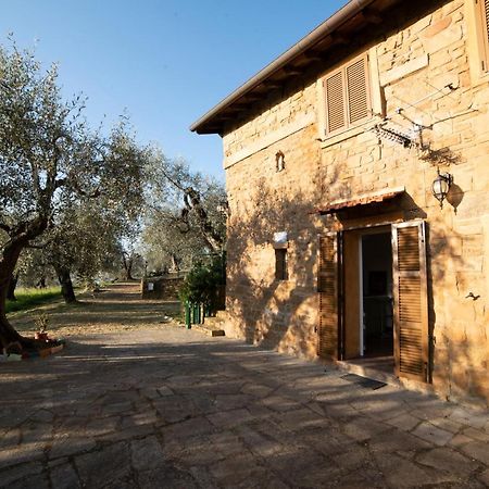 Casetta Maduneta Immersa In Un Oliveto Dolceacqua Exteriör bild