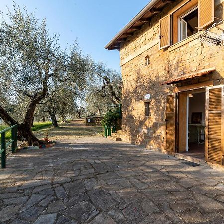 Casetta Maduneta Immersa In Un Oliveto Dolceacqua Exteriör bild