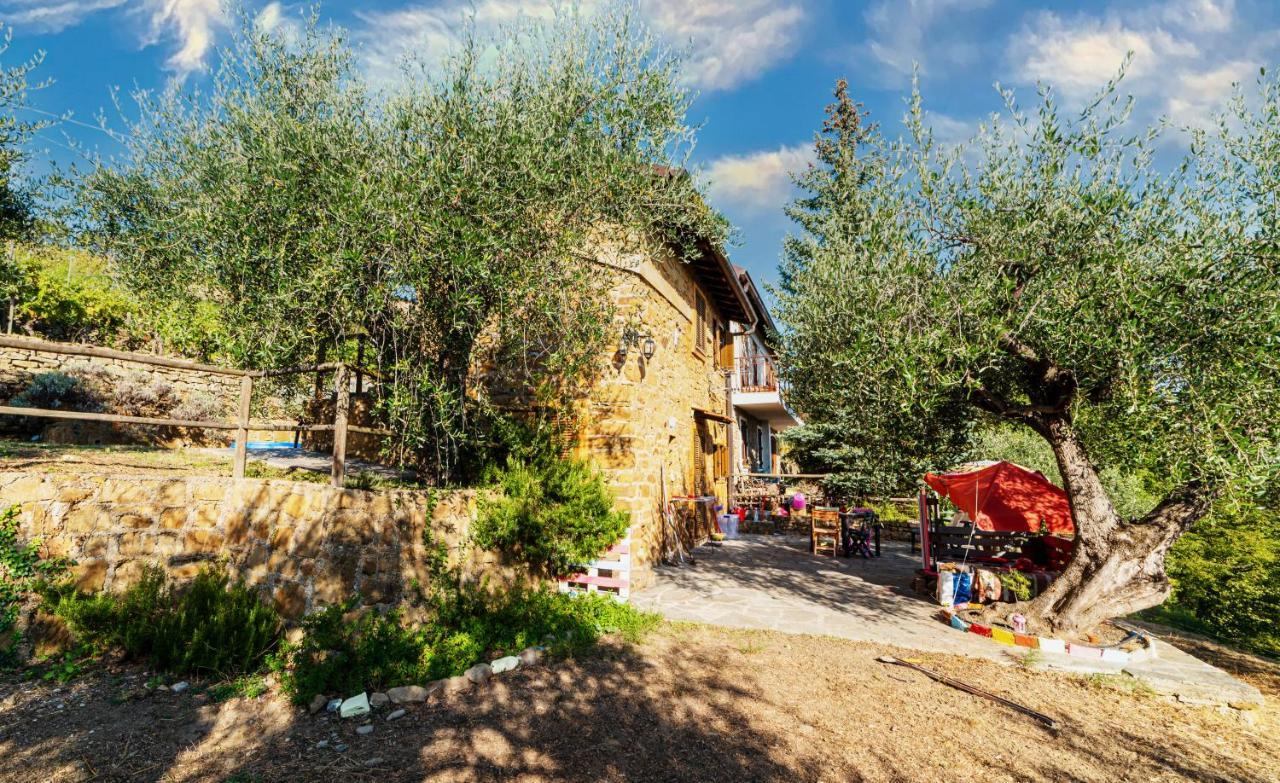 Casetta Maduneta Immersa In Un Oliveto Dolceacqua Exteriör bild