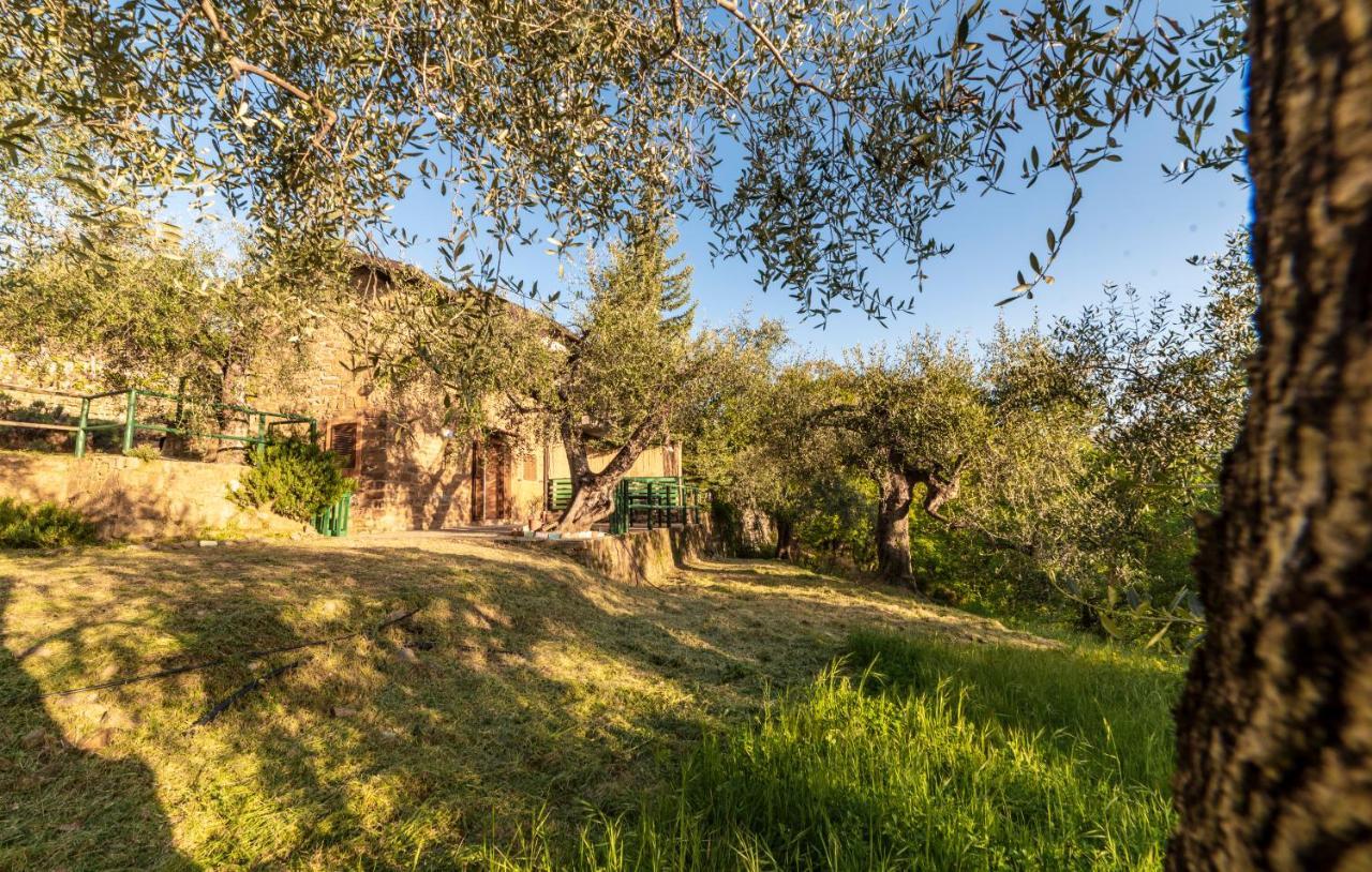 Casetta Maduneta Immersa In Un Oliveto Dolceacqua Exteriör bild