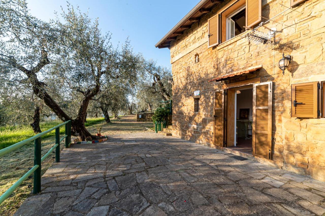 Casetta Maduneta Immersa In Un Oliveto Dolceacqua Exteriör bild